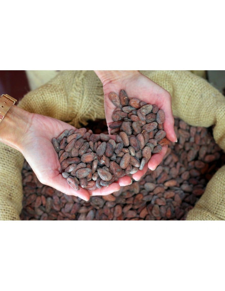 Bonnat Noisettes 55% mliječne čokolade s lješnjacima