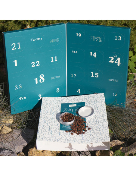 Adventski kalendar s odabranom kavom