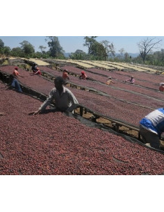 Kafe Francin Kenya Ndundu 250 g 2