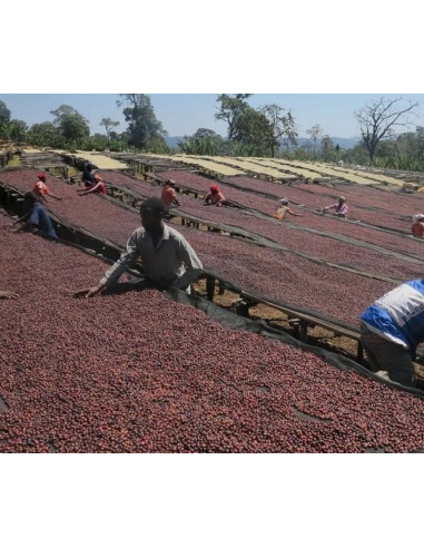 Kafe Francin Kenya Ndundu 250 g