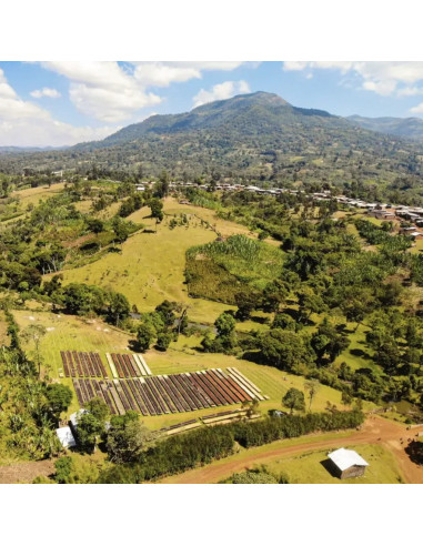 Nordbeans Keramo Natural Etiopija 250g