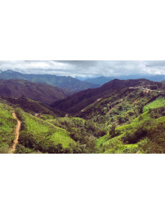 Gurmanska kava Specialty Peru Huabal 250g 2