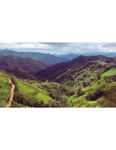 Gurmanska kava Specialty Peru Huabal 250g