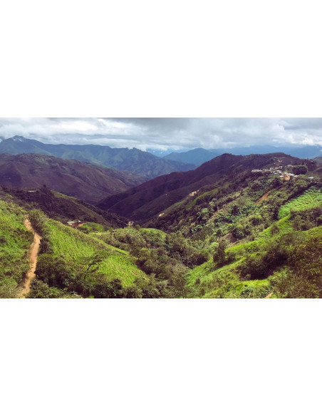 Gurmanska kava Specialty Peru Huabal 250g