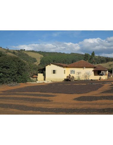 Gurmanska kava Specialty Brasil Vermelha ESP 250g