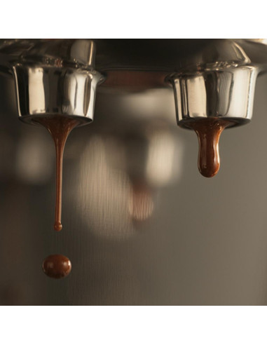 SAGE THE BAMBINO™ PLUS SES500BTR aparat za kavu s polugom