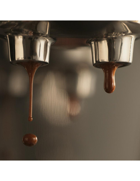 SAGE THE BAMBINO™ PLUS SES500BTR aparat za kavu s polugom