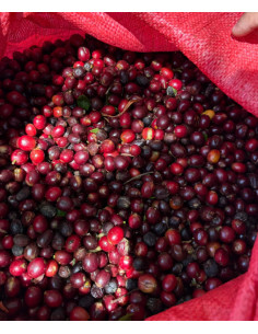 Beansmiths Nikaragva Los Papales 250g 2