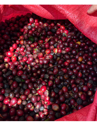 Beansmiths Nikaragva Los Papales 250g