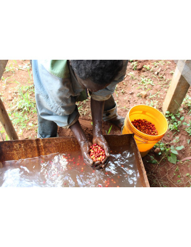 GourmetKáva Specialty Burundi Kayanza 250g