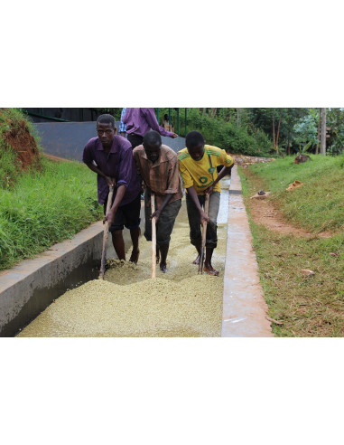 GourmetKáva Specialty Burundi Kayanza 250g