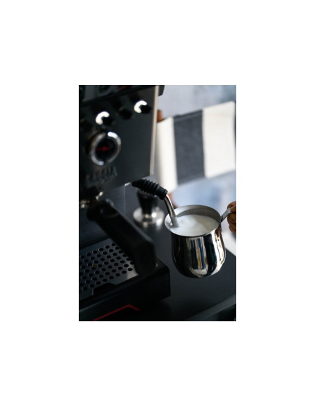 Aparat za kavu s polugom Gaggia Classic GT od nehrđajućeg čelika