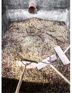 GourmetKáva Specialty - Kenya Ngiriambu 250g 2