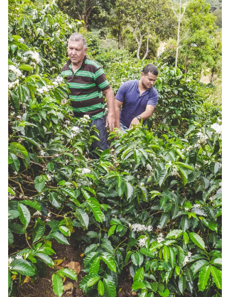 Kafe Francin Colombia Finca La Providencia De Jeshua 250g