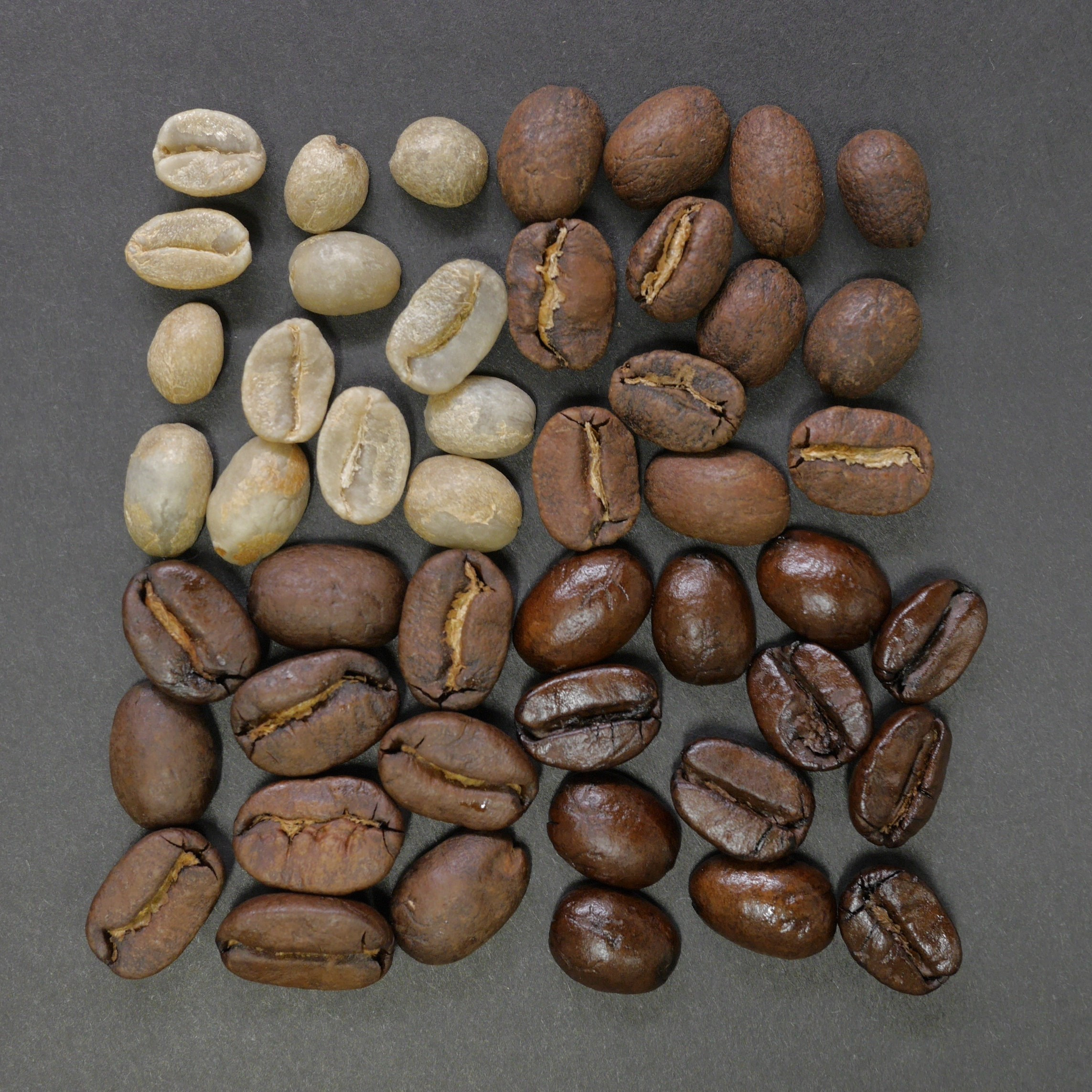 Usporedba kave Arabica vs. Robusta kava